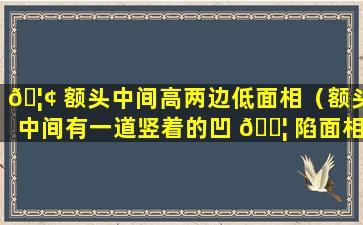 🦢 额头中间高两边低面相（额头中间有一道竖着的凹 🐦 陷面相）